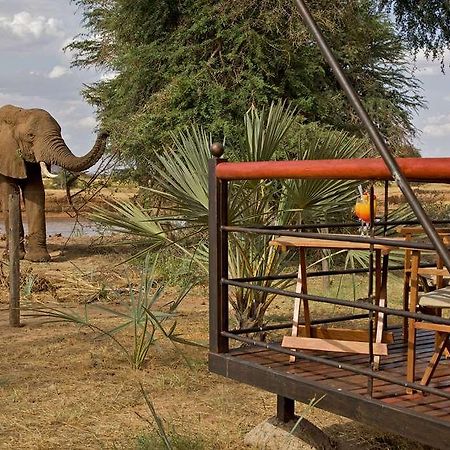 Ashnil Samburu Camp Hotel Kültér fotó