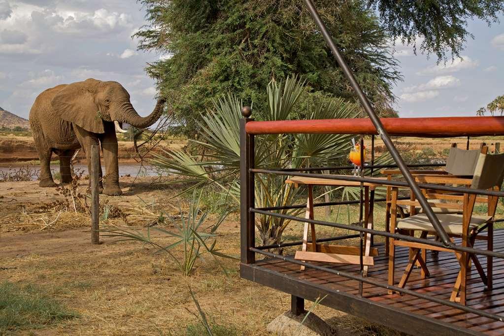 Ashnil Samburu Camp Hotel Kültér fotó
