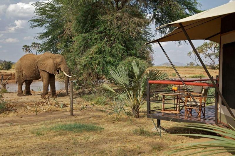 Ashnil Samburu Camp Hotel Kültér fotó