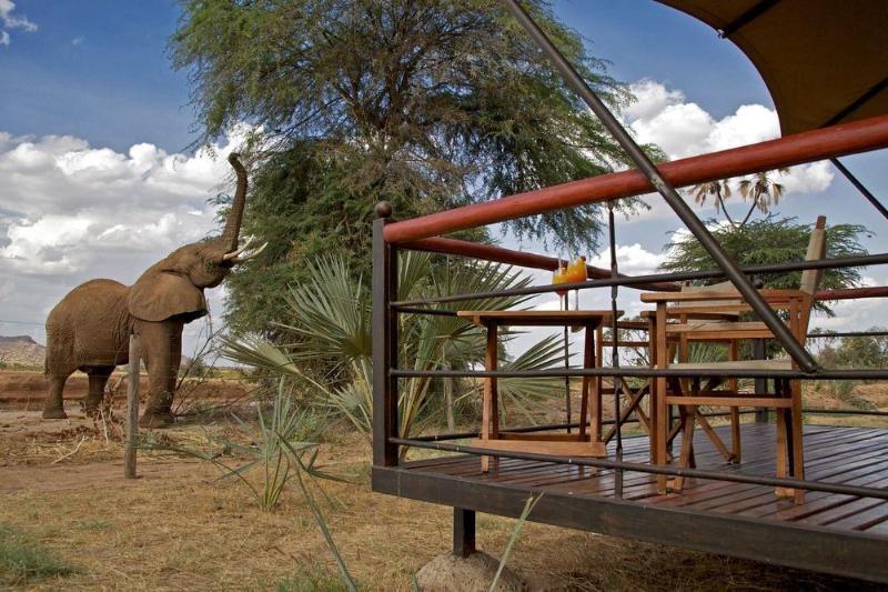 Ashnil Samburu Camp Hotel Kültér fotó