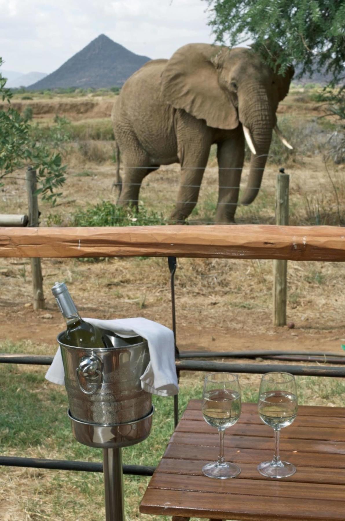 Ashnil Samburu Camp Hotel Kültér fotó