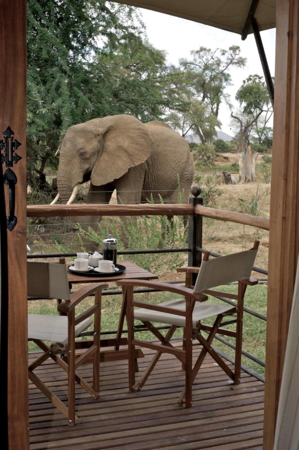 Ashnil Samburu Camp Hotel Kültér fotó