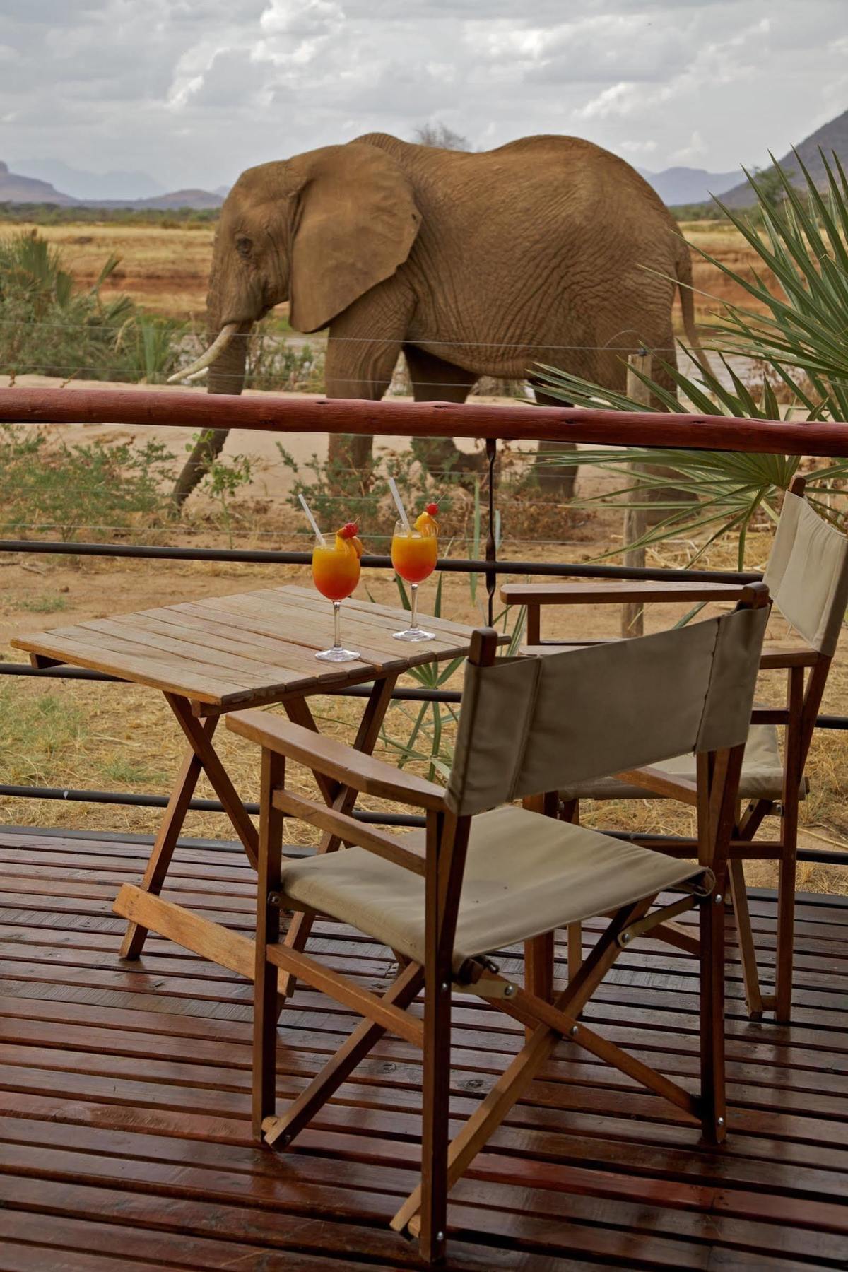 Ashnil Samburu Camp Hotel Kültér fotó