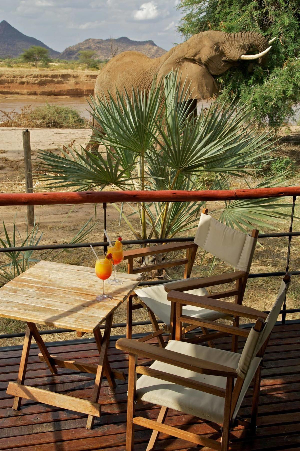 Ashnil Samburu Camp Hotel Kültér fotó