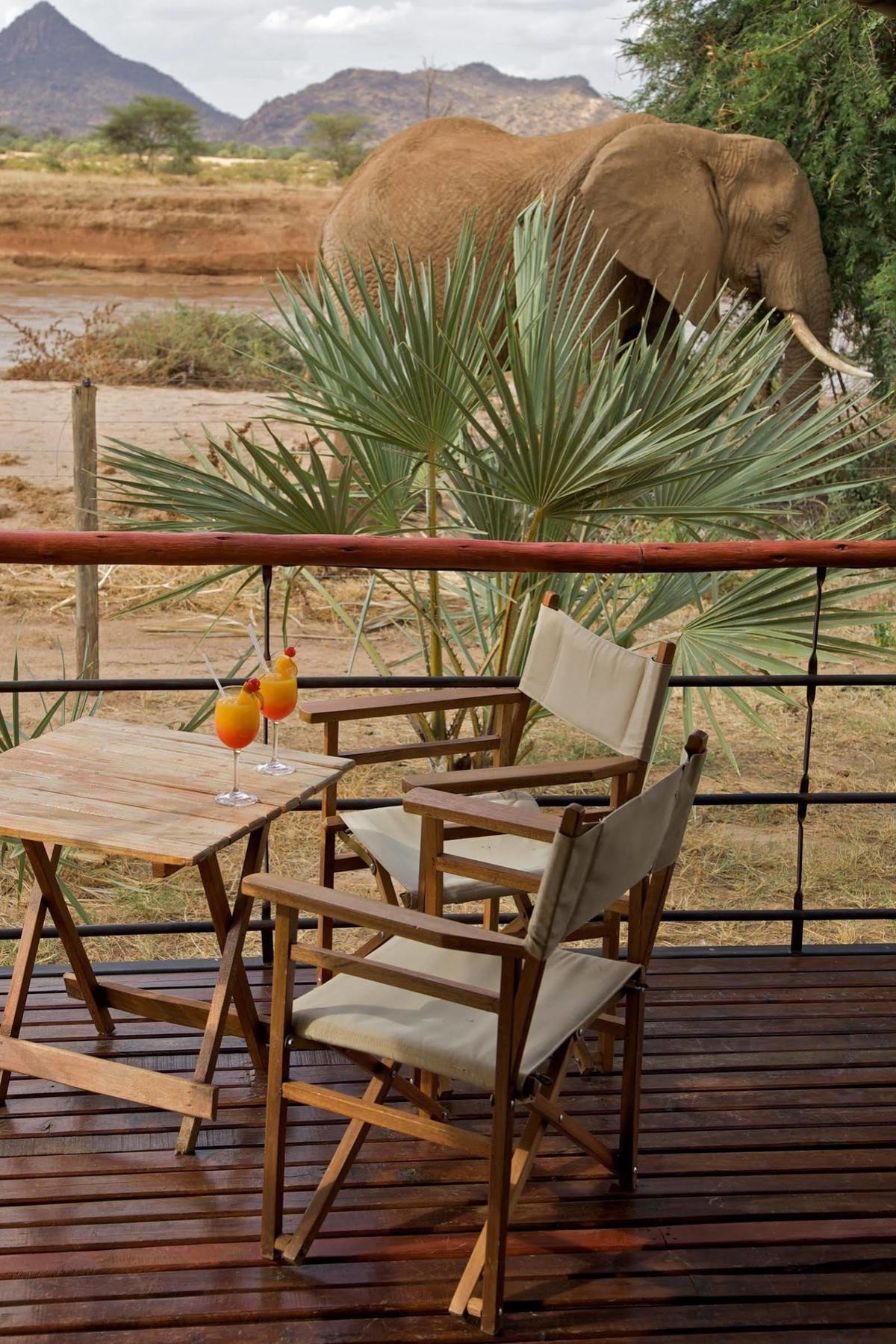 Ashnil Samburu Camp Hotel Kültér fotó